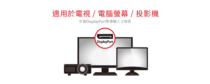 USB-C 轉 DisplayPort 轉換器, Type-C