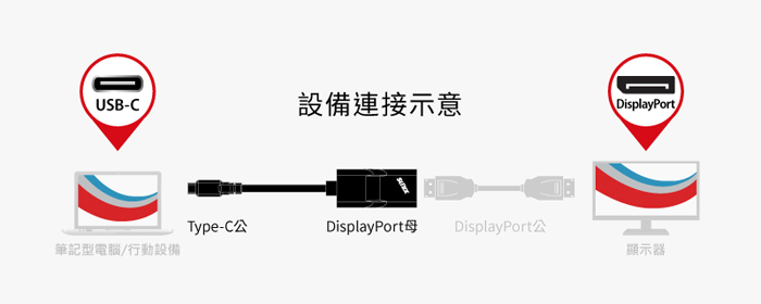 USB-C 轉 DisplayPort 轉換器, Type-C
