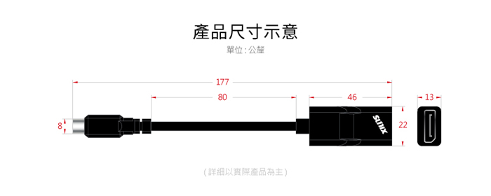 USB-C 轉 DisplayPort 轉換器, Type-C